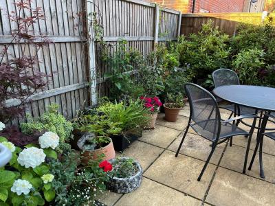 1915 Norwich Offering home to house-sitters  (sleeps 4)