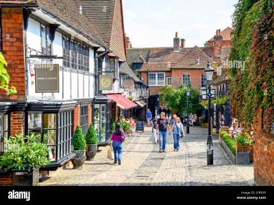 LOOKING for a HOUSE/CAT-SITTER..Farnham Surrey : Sleeps 1