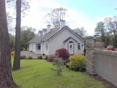 Urgent request!  1199 nr BELFAST house/animal sitters needed : sleeps 5 